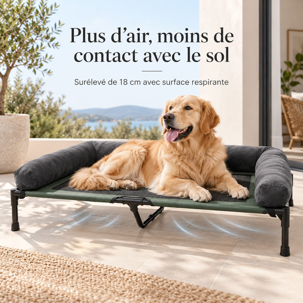 Lit surélevé pour chien respirant – Pawavo Altura