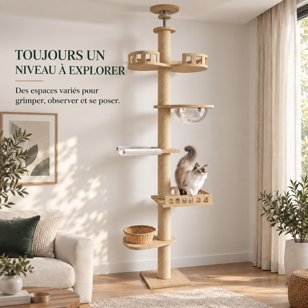 Arbre à chat sol plafond en bois naturel – Pawavo Canopy