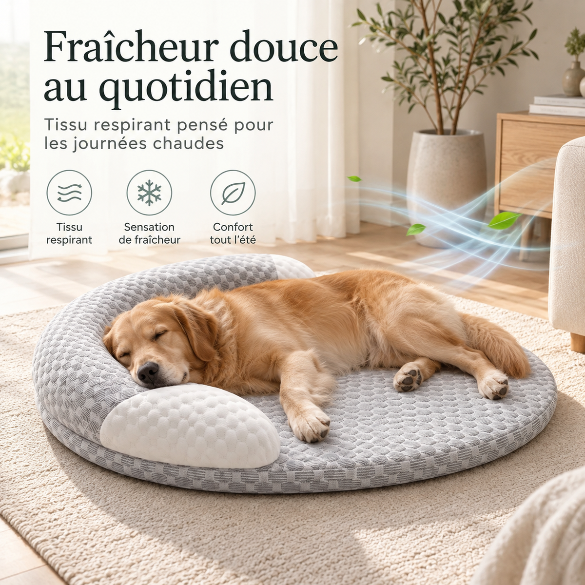 Coussin rafraîchissant pour chien et chat – Pawavo Fresco