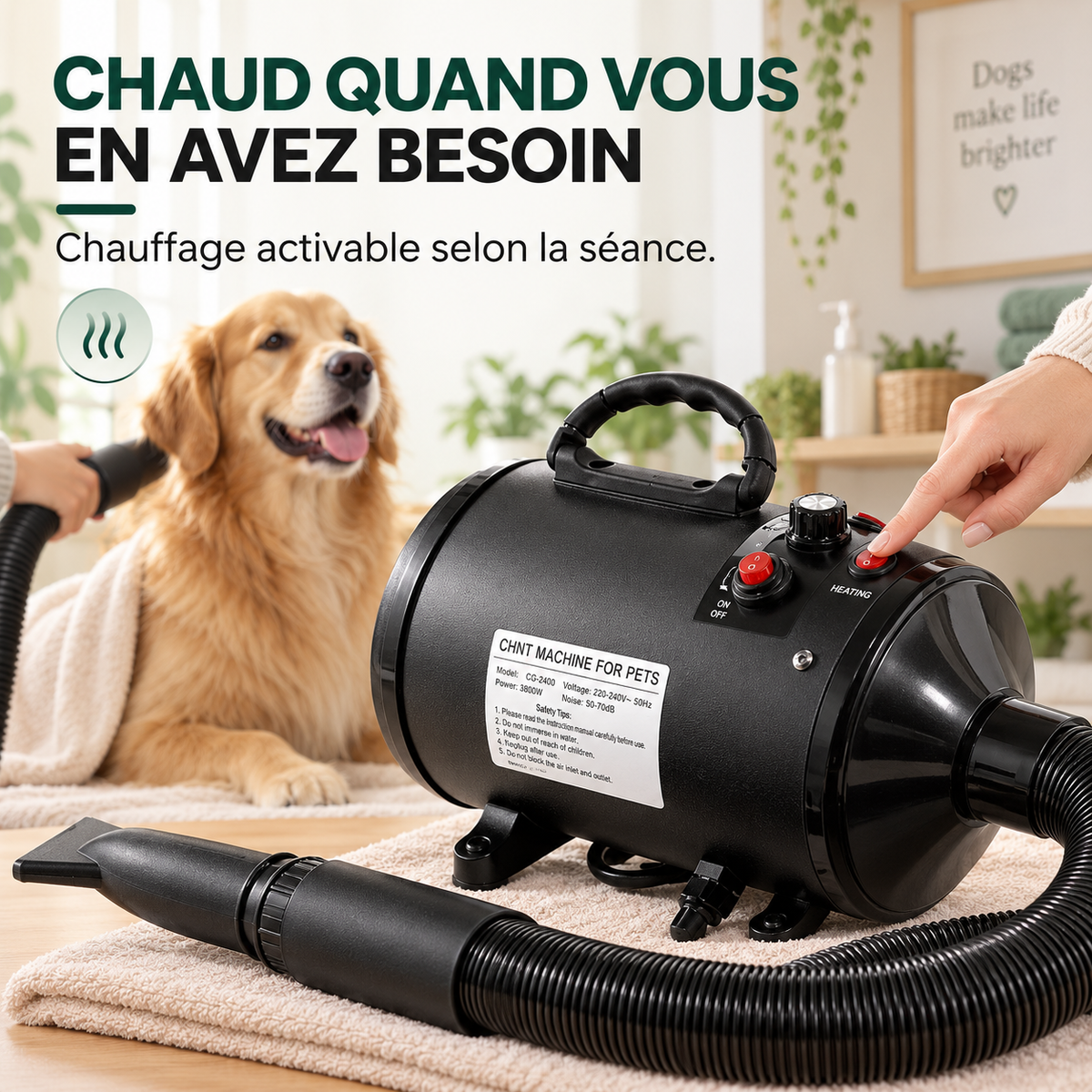 Pulseur chien professionnel 2800 W – Pawavo AirDry Pro