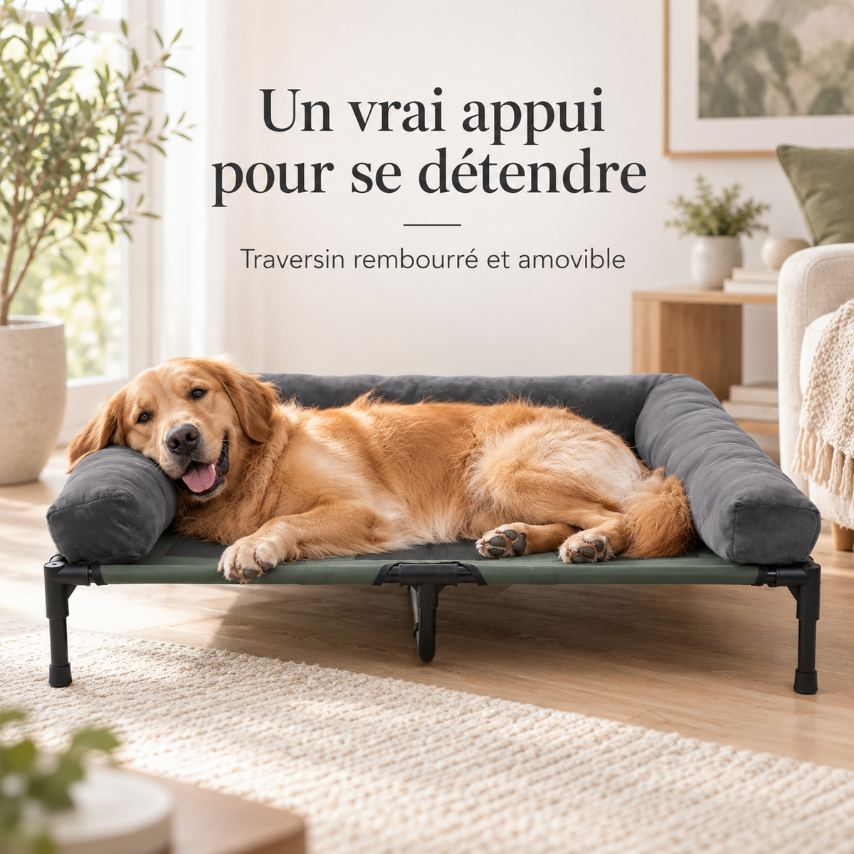 Lit surélevé pour chien respirant – Pawavo Altura