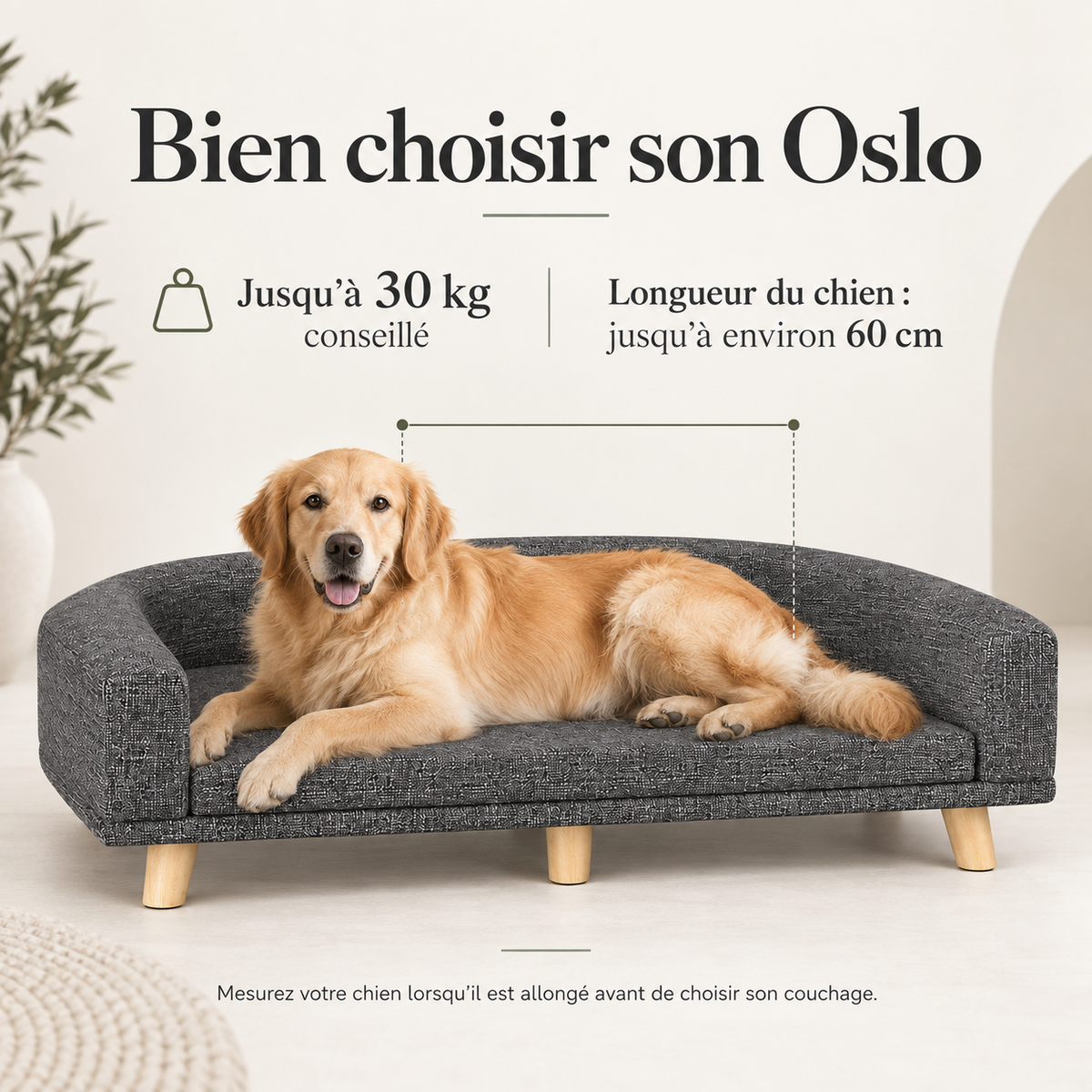 Canapé pour chien design – Pawavo Oslo