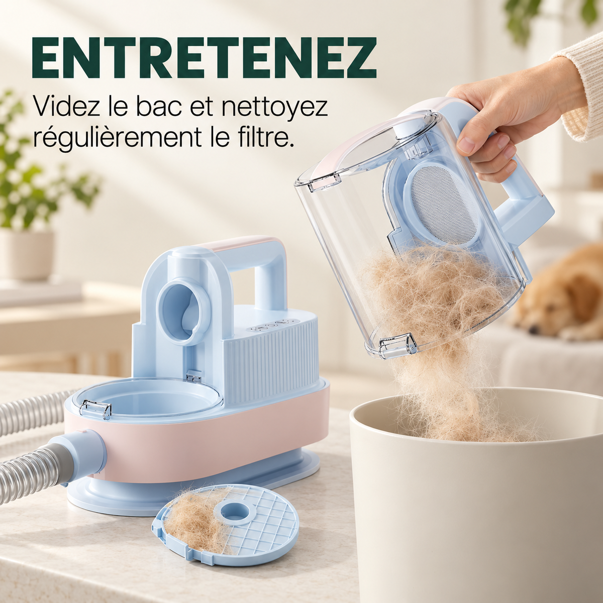 ENTRETENEZ