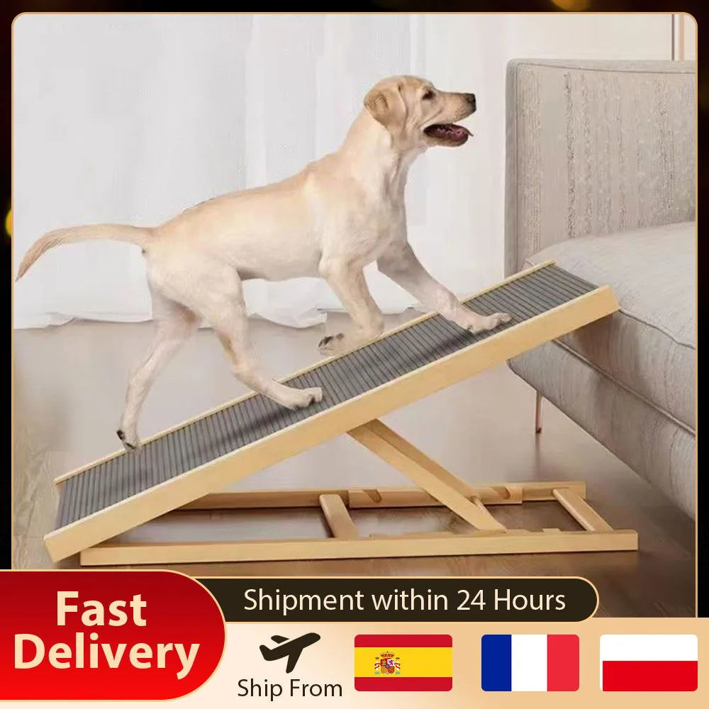Rampe pour chien pliable et réglable – Bois, antidérapante, 4 hauteurs
