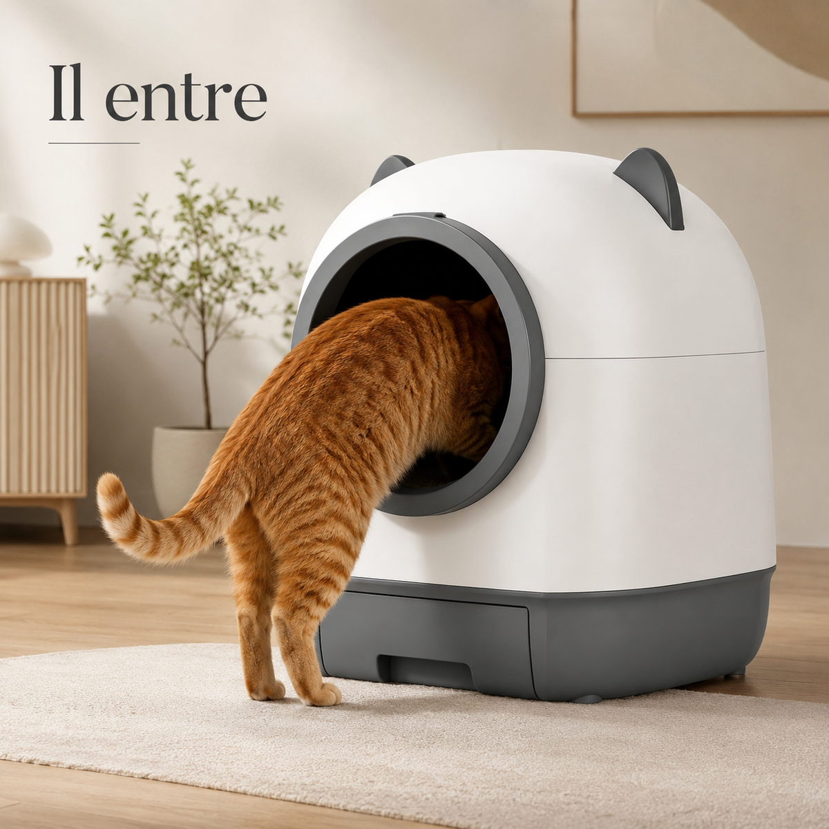 Il entre