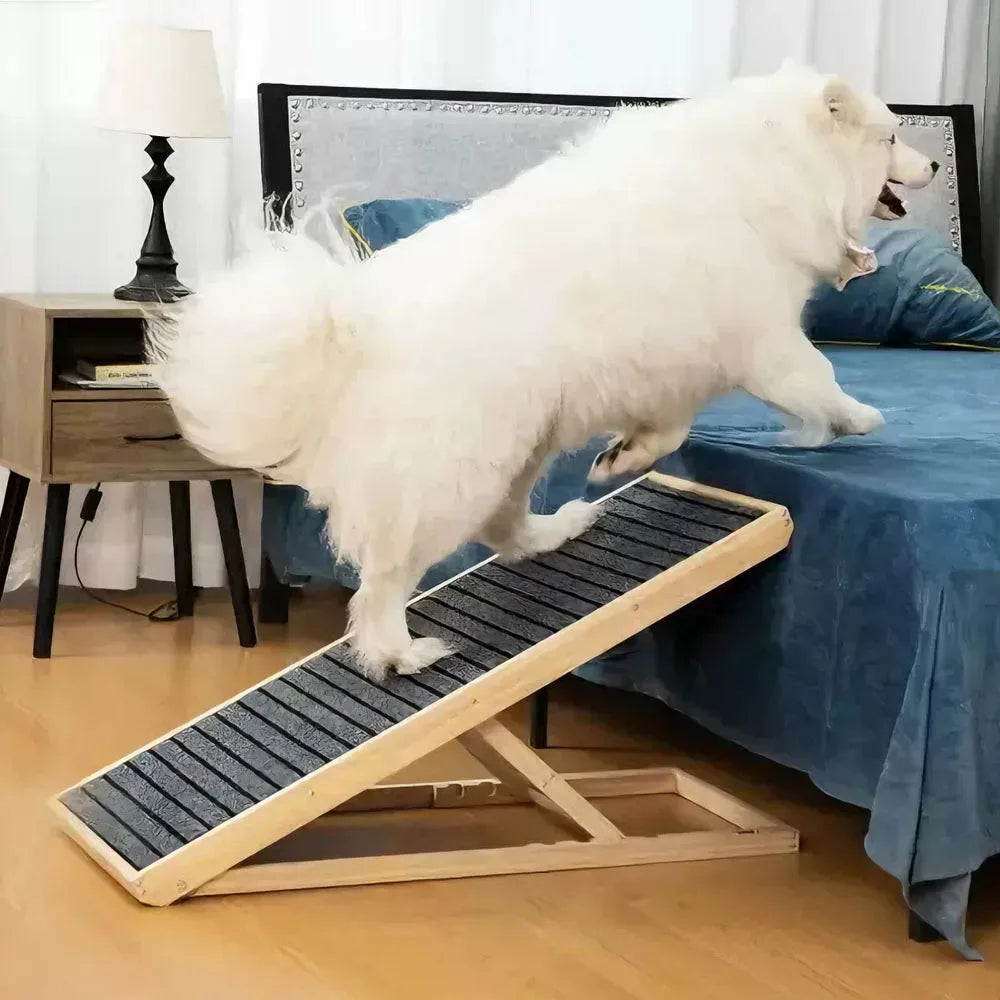 Rampe pour chien pliable et réglable – Bois, antidérapante, 4 hauteurs